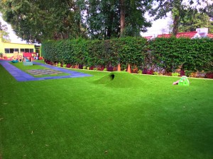 GRAMA SINTETICA SPORTCOURTS